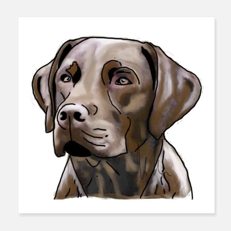 Labrador Poster 20x20 cm