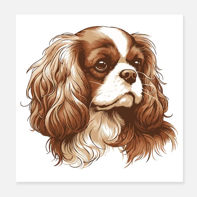 Cavalier King Charles Spaniel Poster 20x20 cm