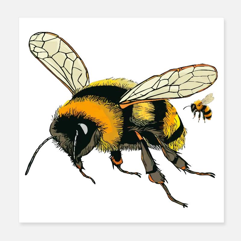 HUMMELN Poster 20x20 cm