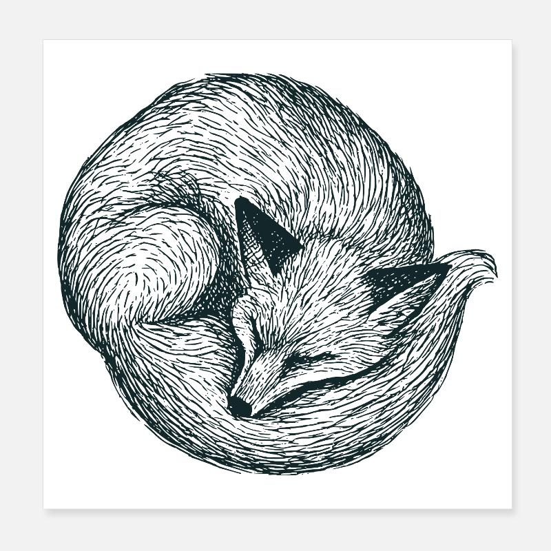Renard recroquevillé Poster 20 x 20 cm