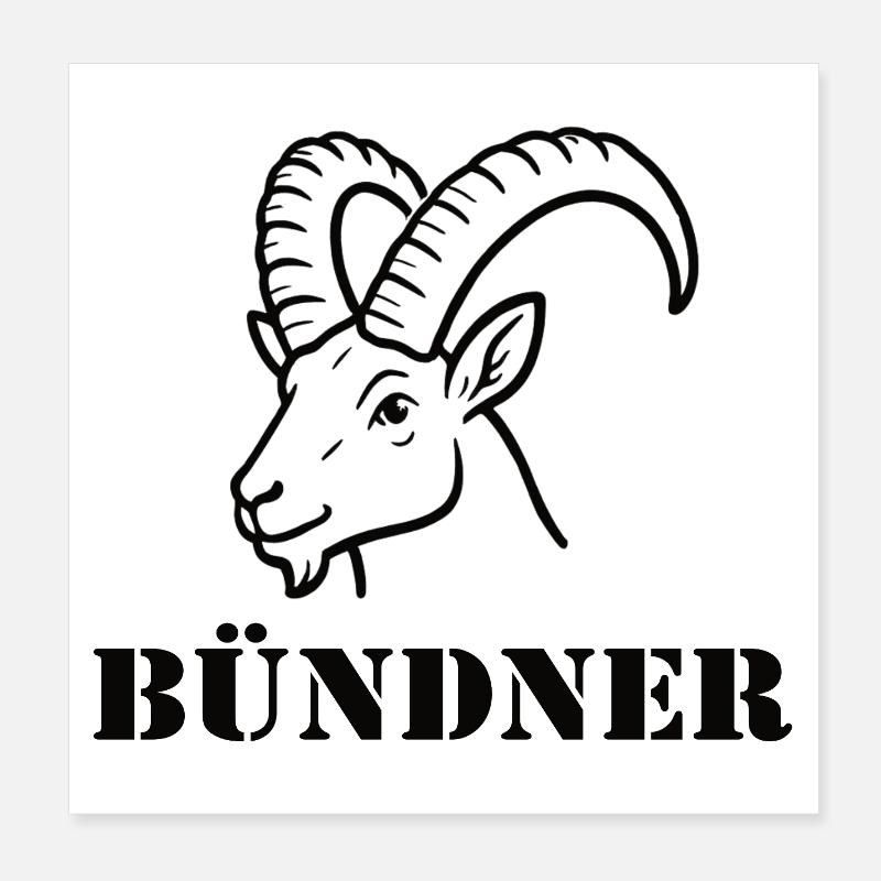 Bündner Alpenbock  Poster 20x20 cm