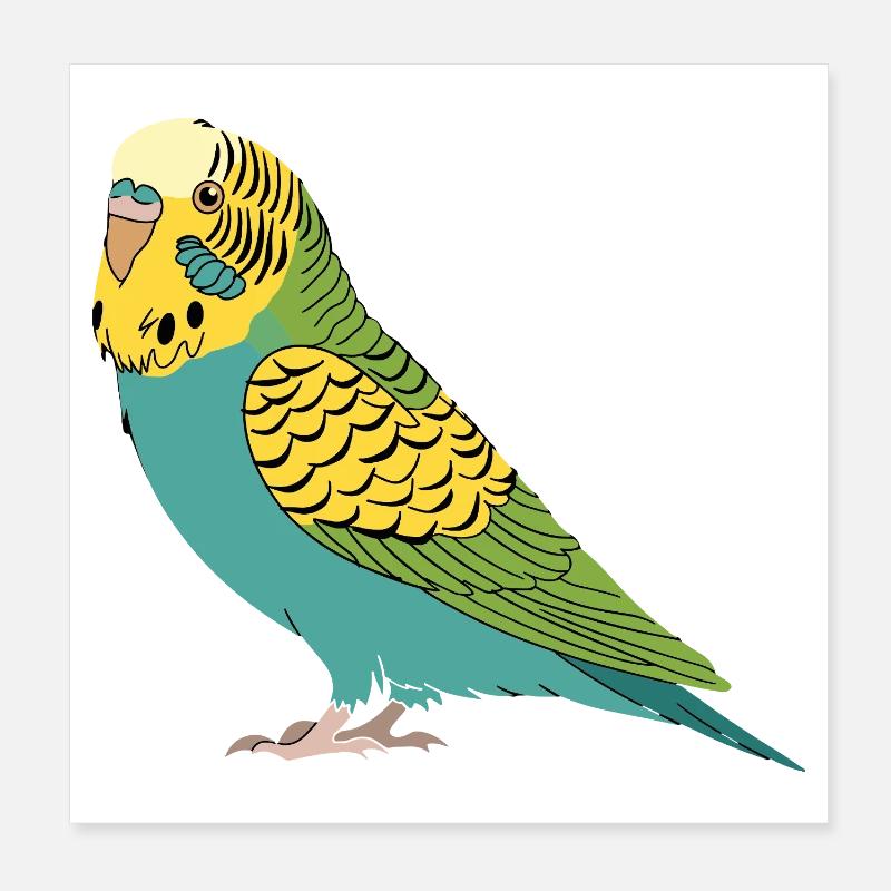 Perruche perruche turquoise vert jaune Poster 20 x 20 cm
