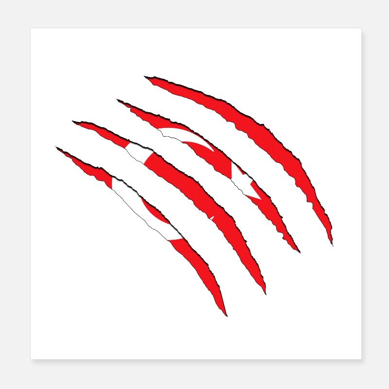 Turkey Flag Red Claws Over Circle Poster 8" x 8" (20x20 cm)
