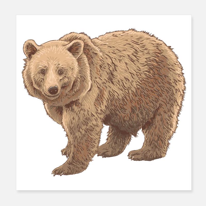 Kodiakbear Poster 8" x 8" (20x20 cm)