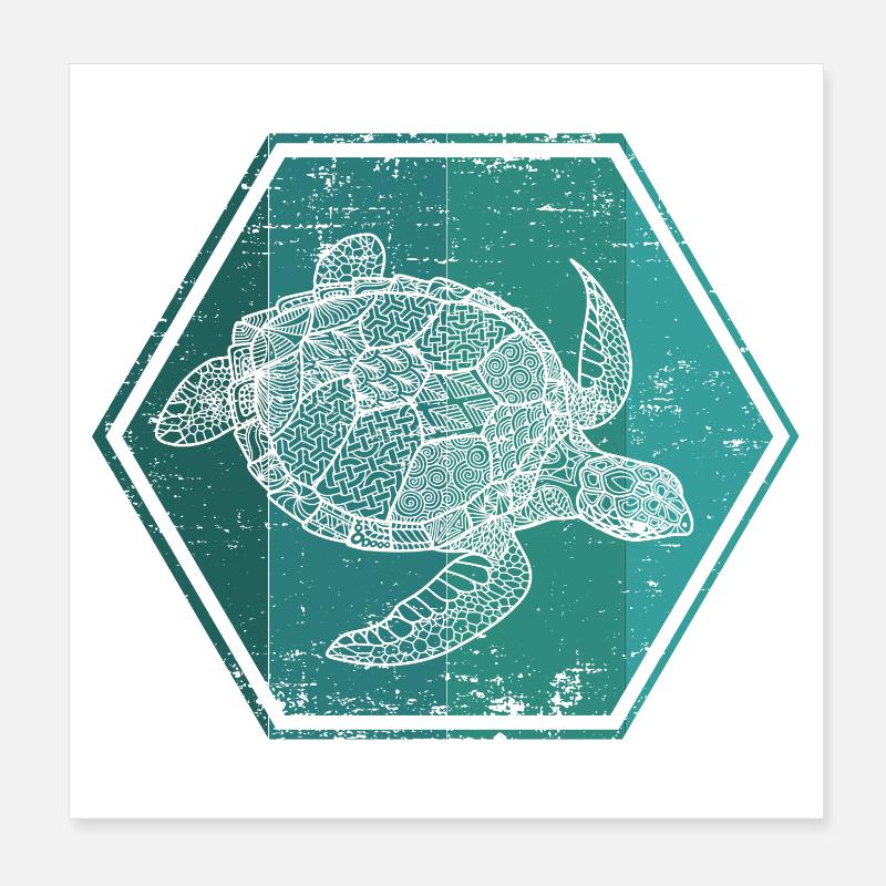Schildkröten - Poster 20x20 cm - Weiß