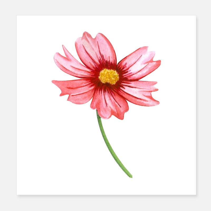 Blume Poster 20x20 cm