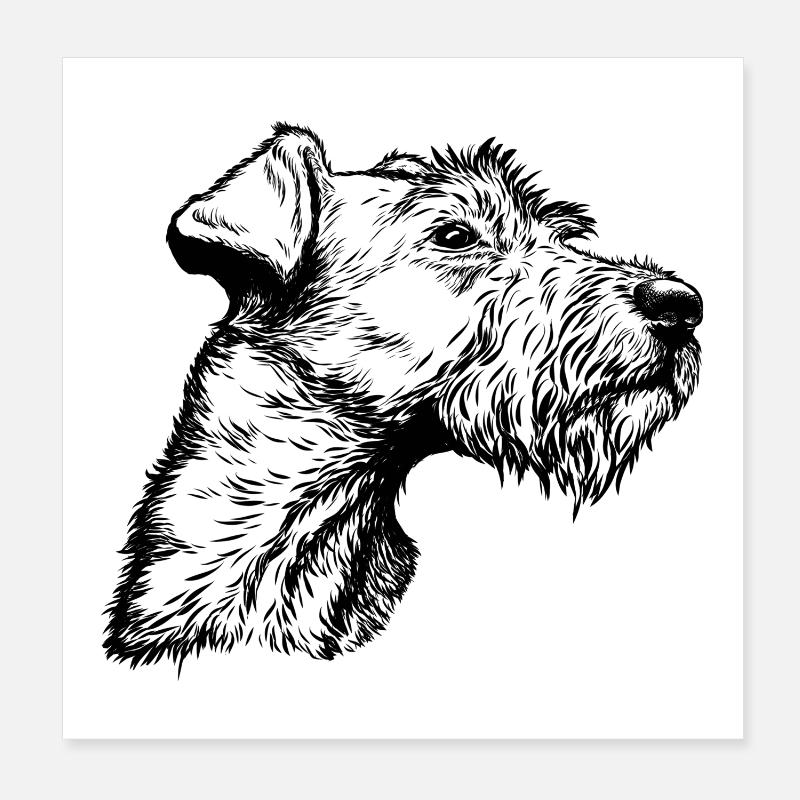Portrait de terrier irlandais Poster 20 x 20 cm
