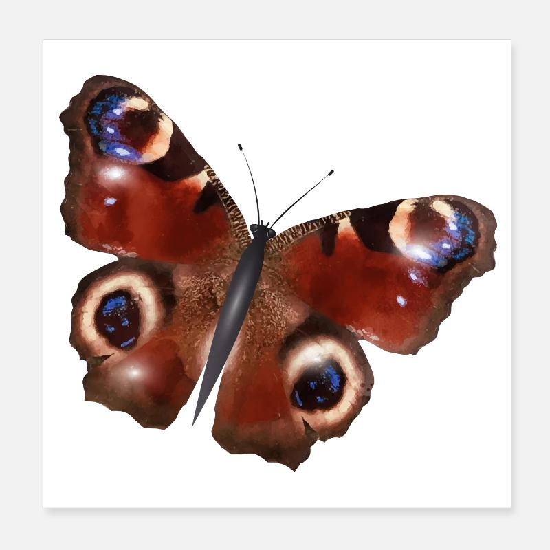 gorgeous peacock butterfly Poster 8" x 8" (20x20 cm)