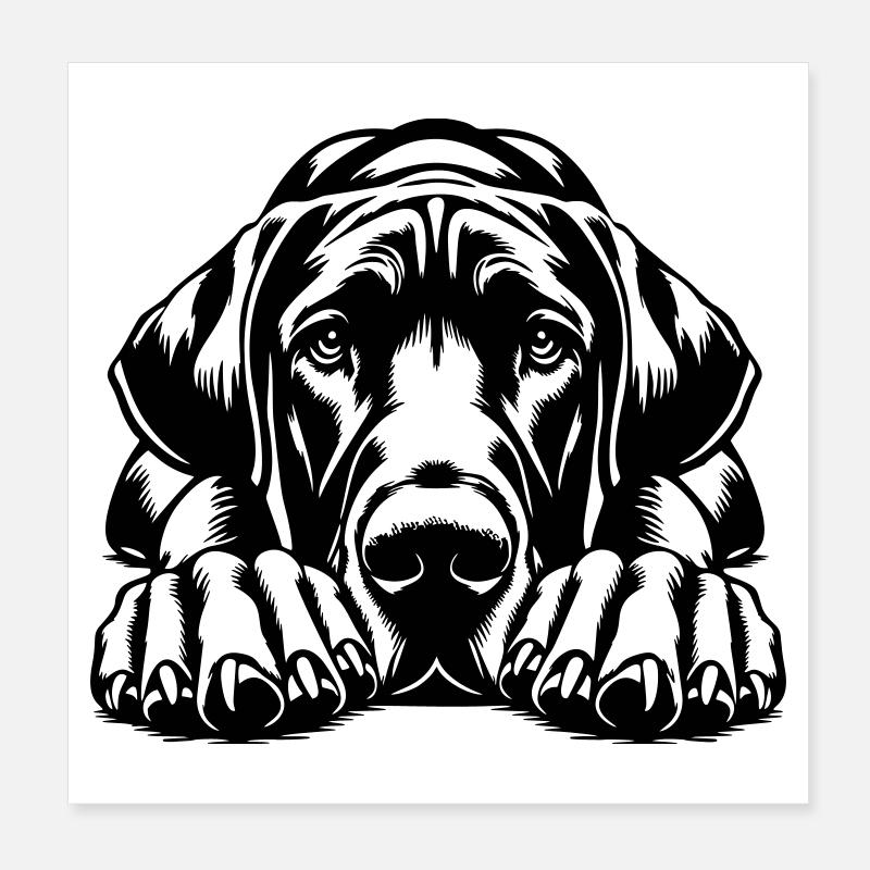 Deutsche Dogge Poster 20x20 cm