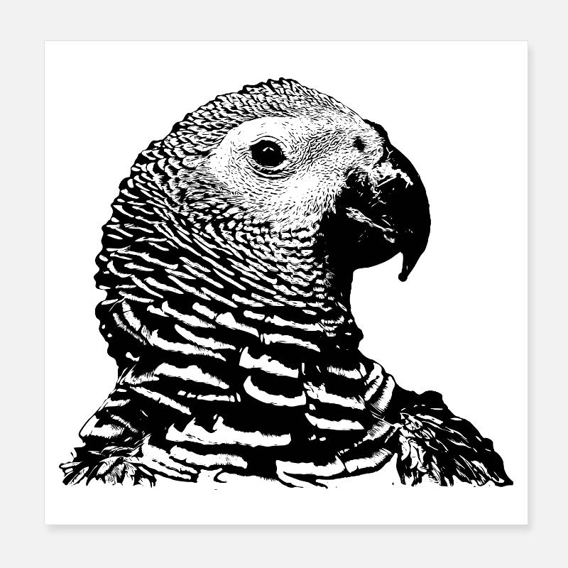 Parrot Poster 8" x 8" (20x20 cm)