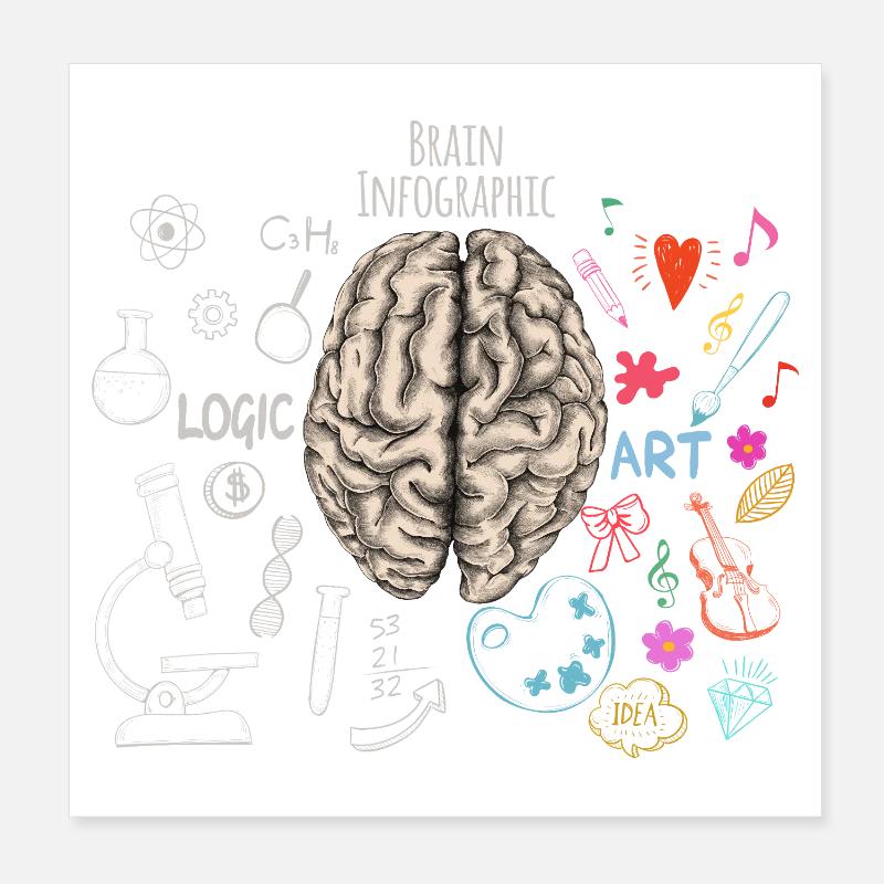 Infografik Gehirn Brain Infographic Poster 20x20 cm