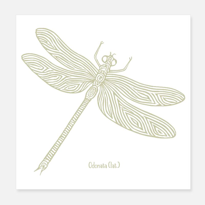Libelle Odonata Poster 20x20 cm