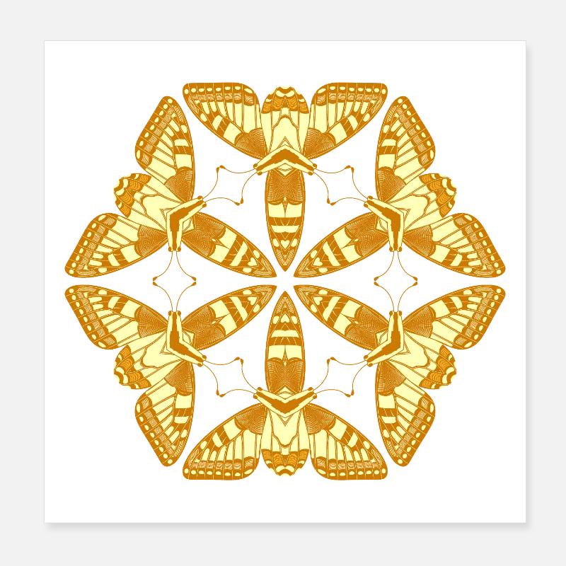 Papillons Mandala dorés – Insectes Poster 20 x 20 cm