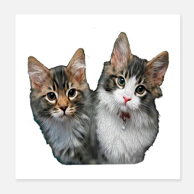 Kittens - Poster 8" x 8" (20x20 cm) - white