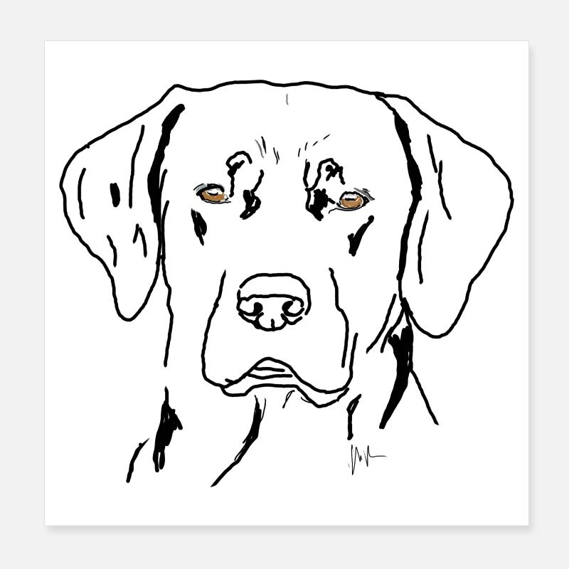 Labrador Poster 20 x 20 cm
