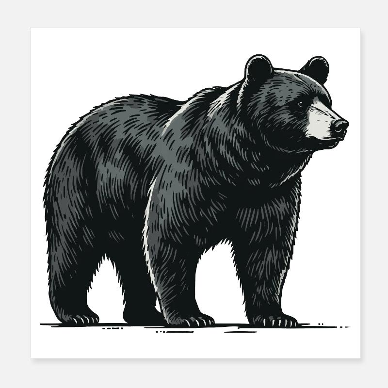 Baribal Poster 20 x 20 cm