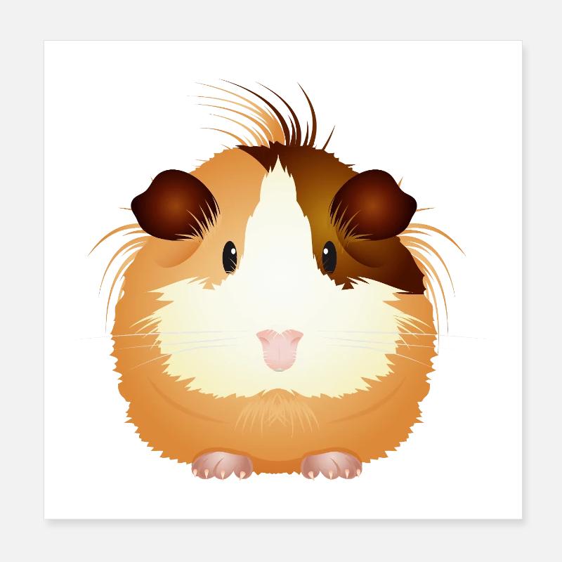 Cochon d’Inde sucré – à tomber amoureux ! Poster 20 x 20 cm