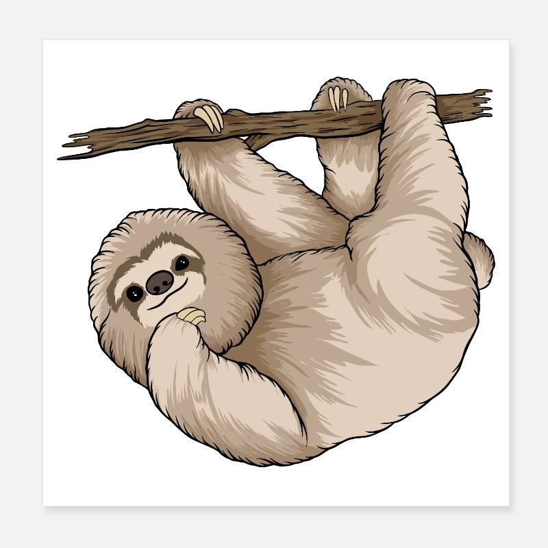 Charming Sloth Hugging Branch  Poster 8" x 8" (20x20 cm)