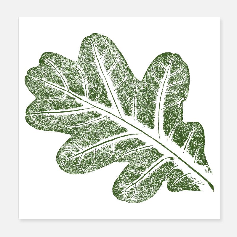 Eichenblatt  Poster 20x20 cm