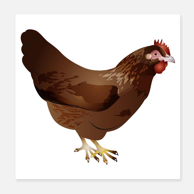 Hand-drawn coloured brown chicken Poster 8" x 8" (20x20 cm)