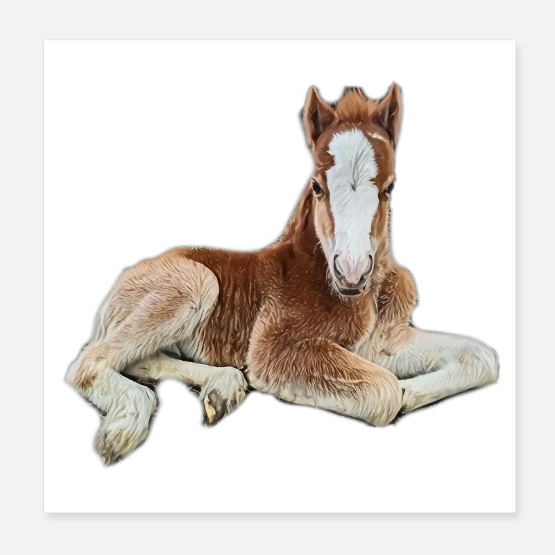 Foal Poster 8" x 8" (20x20 cm)