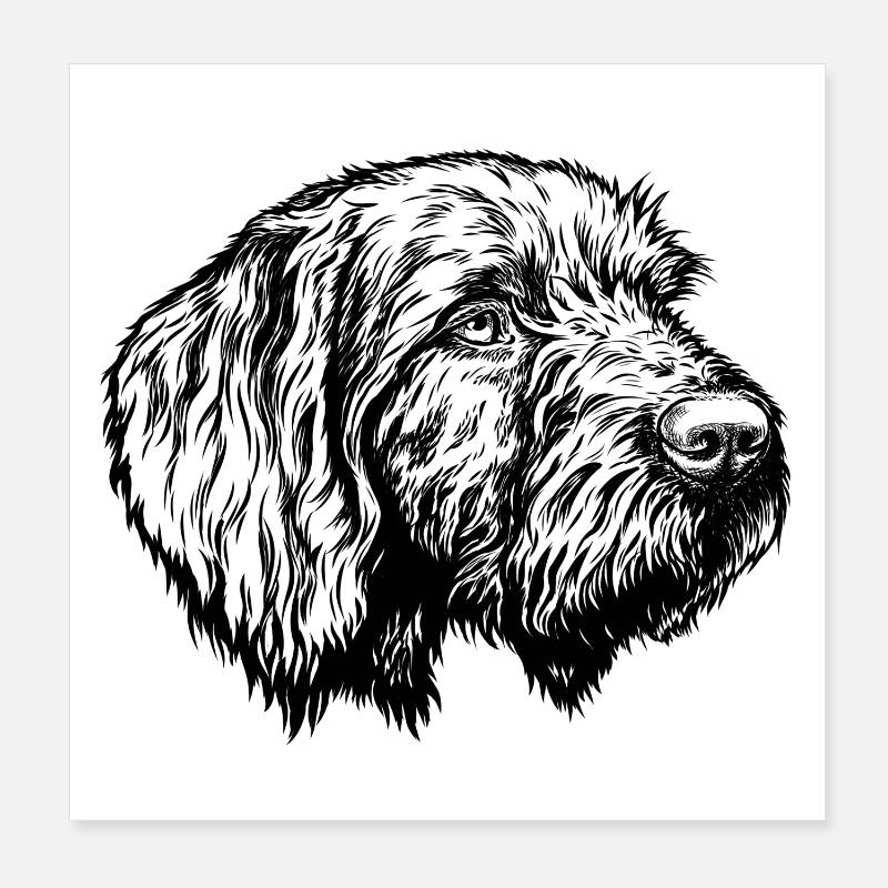 Pudelpointer Portrait Poster 20x20 cm