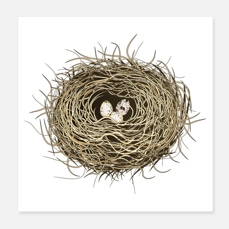 Bird's Nest or Easter Basket with Three Bird Eggs Poster 8" x 8" (20x20 cm)