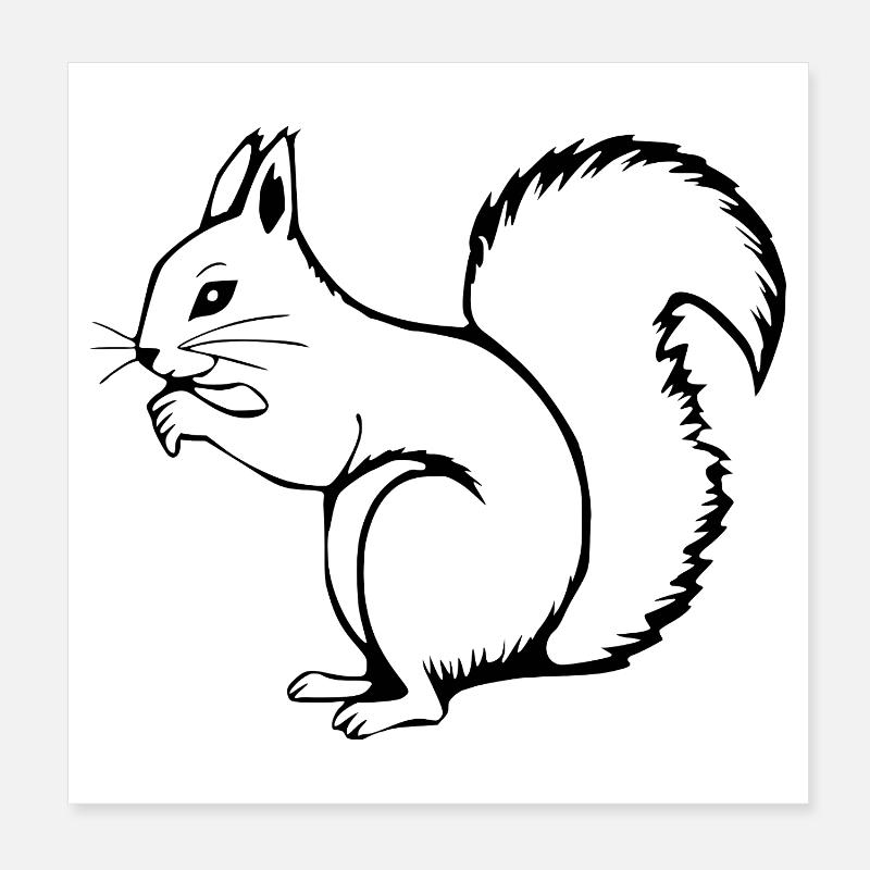 Eichhörnchen Poster 20x20 cm