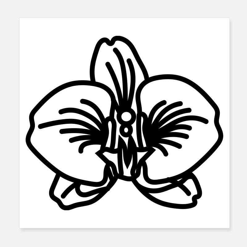 orchid Poster 8" x 8" (20x20 cm)