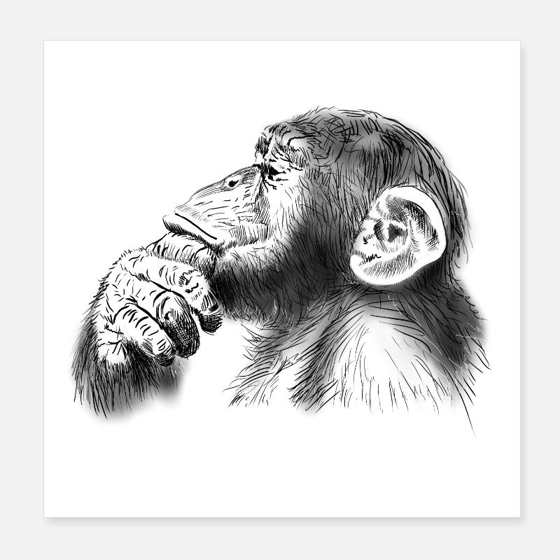chimpanzee - Poster 8" x 8" (20x20 cm) - white