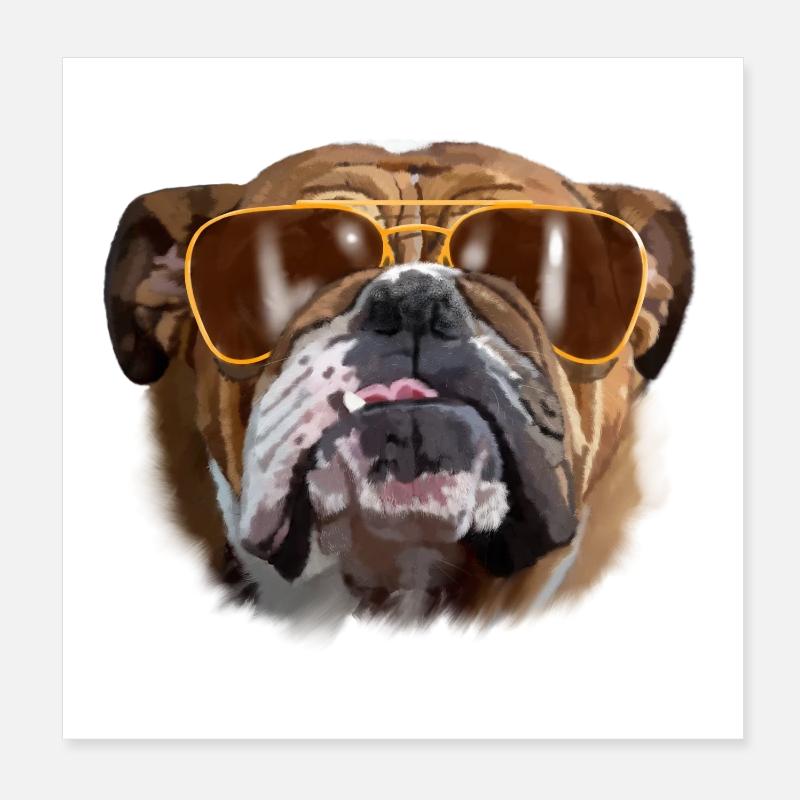 bouledogue Poster 20 x 20 cm