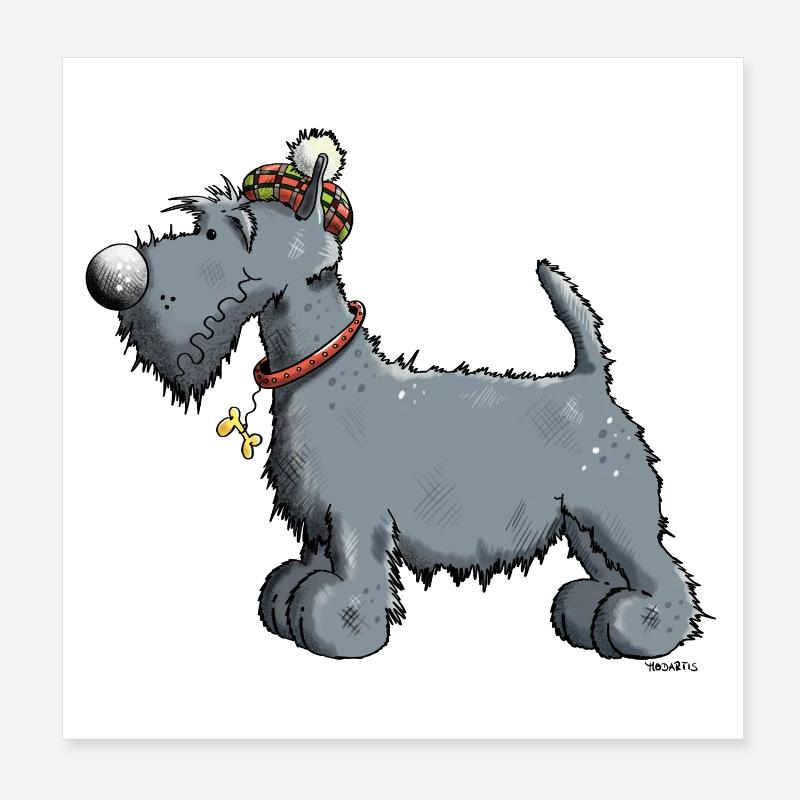 Terrier écossais - Scottish Terrier - Poster 20 x 20 cm - blanc