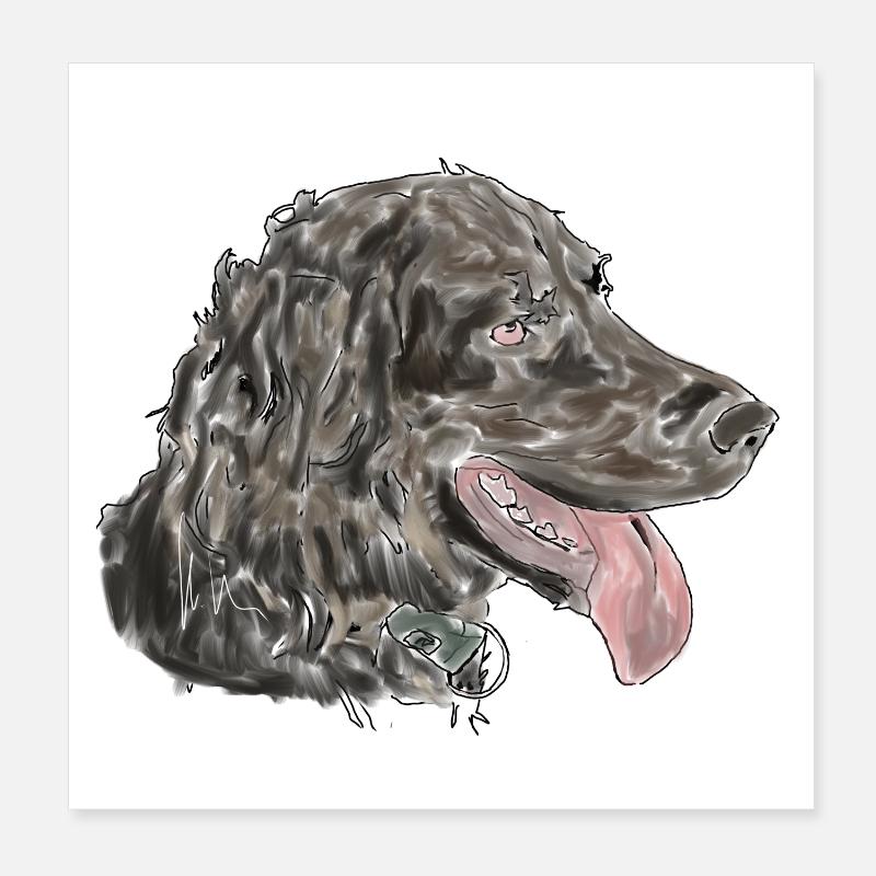 Quaildog Poster 8" x 8" (20x20 cm)