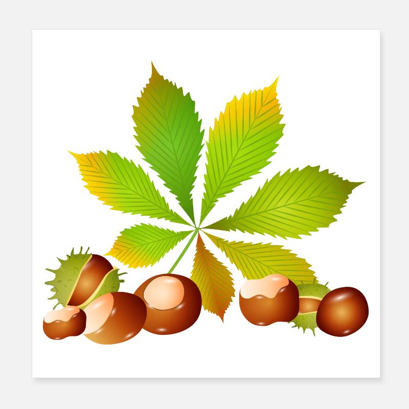 châtaignes brun vif avec feuille de châtaignier Poster 20 x 20 cm