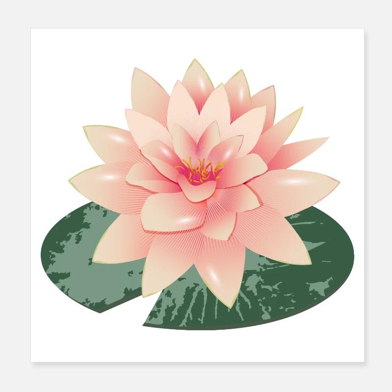 wunderschöne Seerose mit grünem Seerosenblatt Poster 20x20 cm