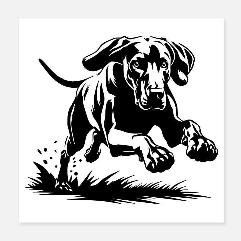 Weimaraner Poster 20x20 cm