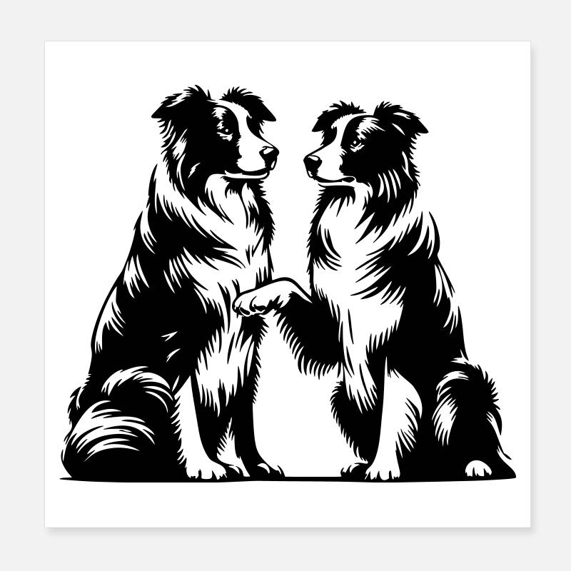 Border Collie Poster 20x20 cm