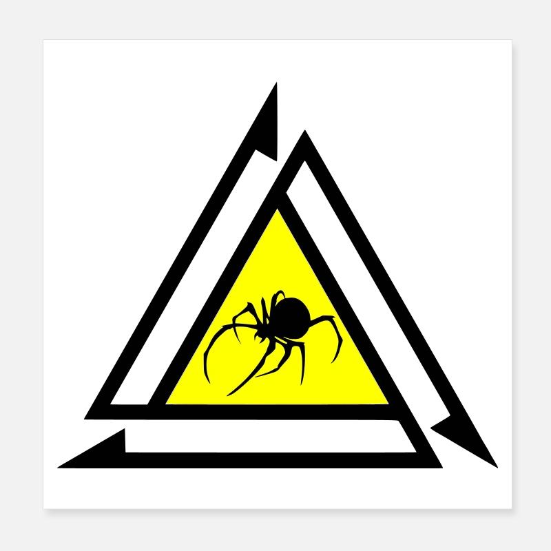 Spinne Poster 20x20 cm