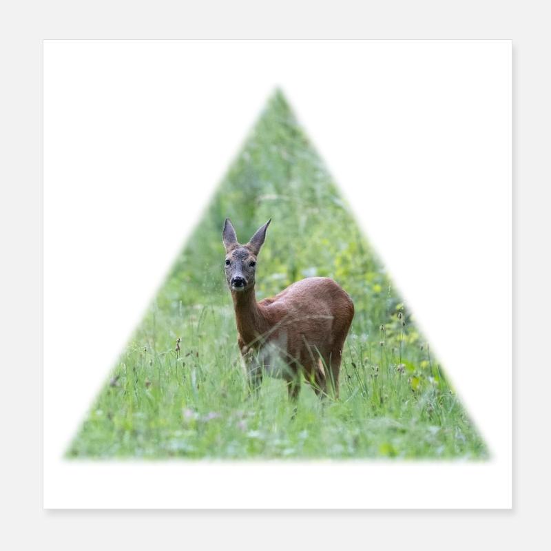 Cerf dans les hautes herbes Poster 20 x 20 cm