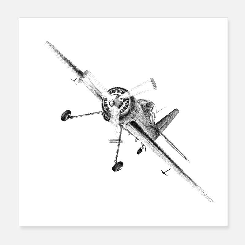 plane Poster 20x20 cm
