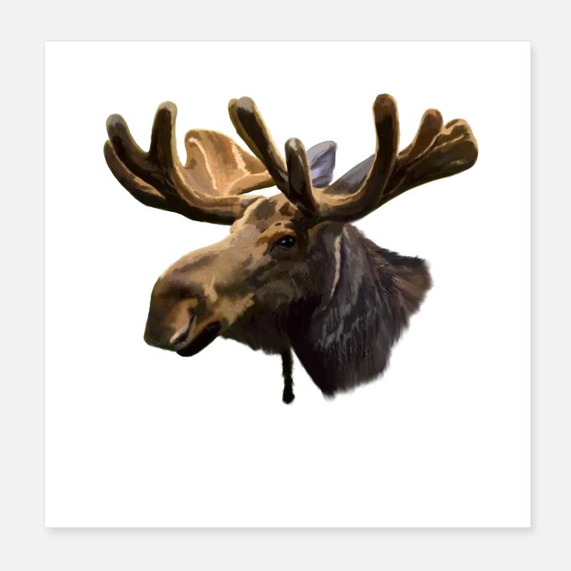 Elch Poster 20x20 cm