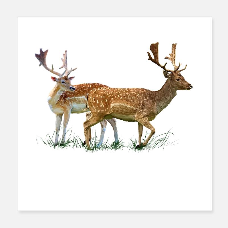 cerf Poster 20 x 20 cm