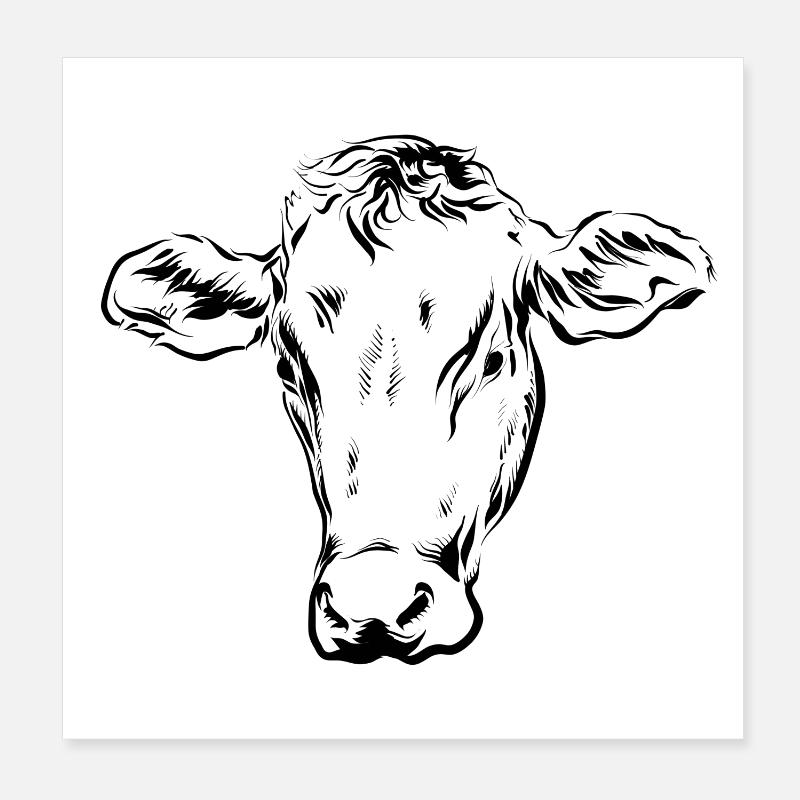 Kuh Kühe - Poster 20x20 cm - Weiß