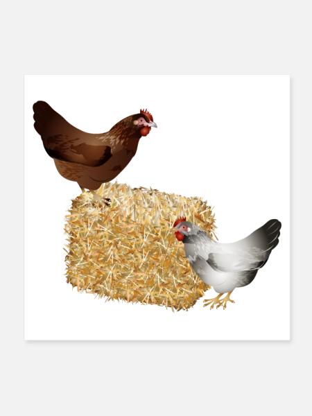 two chickens on a bale of straw - Poster 8" x 8" (20x20 cm) - white - Front
