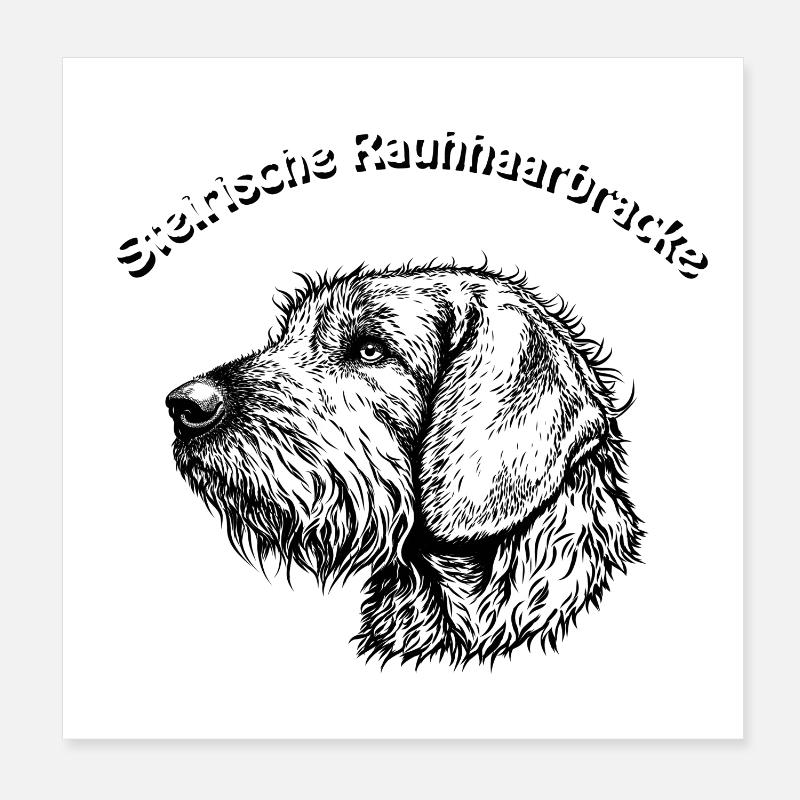 Styrian Bracke Portrait Poster 20 x 20 cm