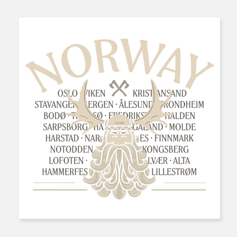 Norway - Viking Beard - Moose Poster 20x20 cm
