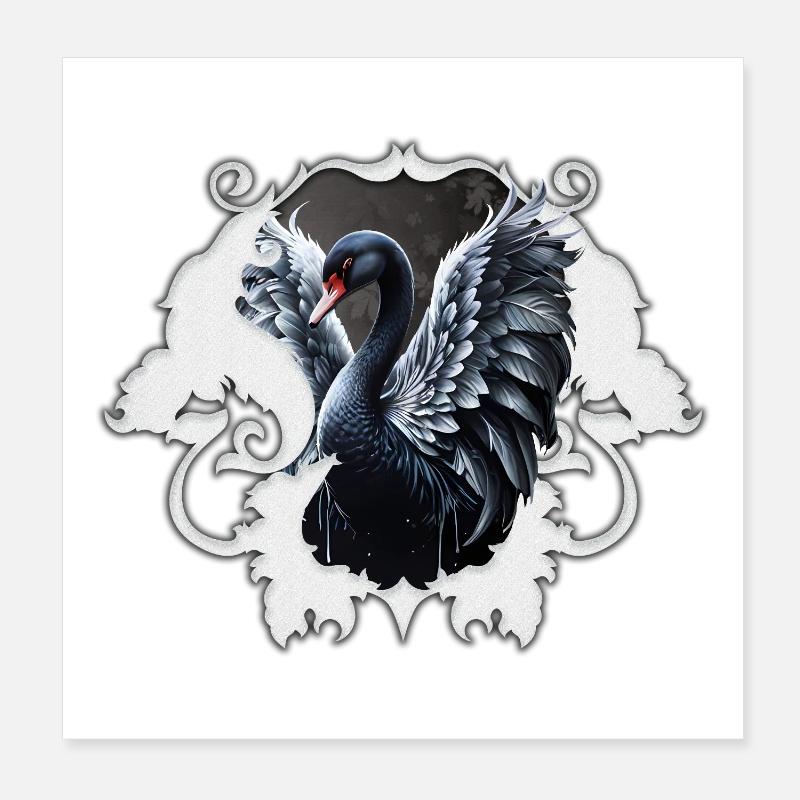 Im Schatten der Eleganz: Ein schwarzer Schwan. Poster 20x20 cm