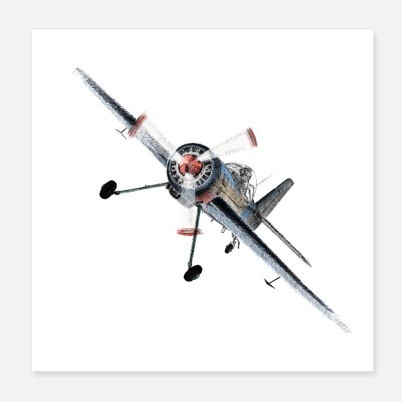 Voltige Poster 20 x 20 cm
