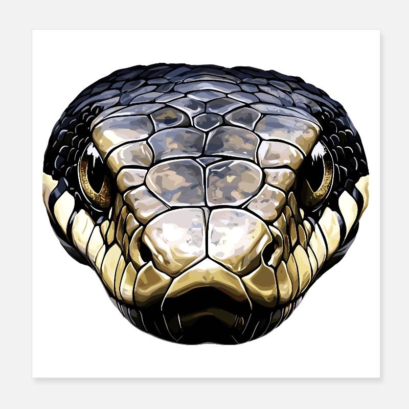 Schlange Python Kobra Klapperschlange Schlangen Poster 20x20 cm