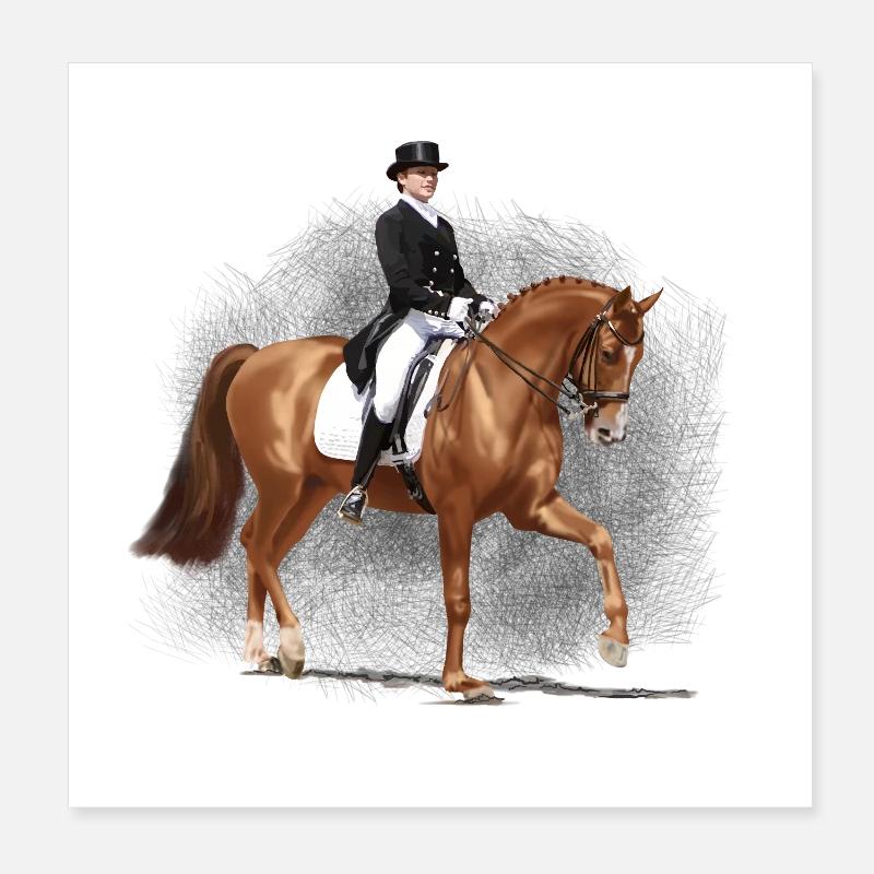 Cavalier de dressage en queue-de-pie Poster 20 x 20 cm
